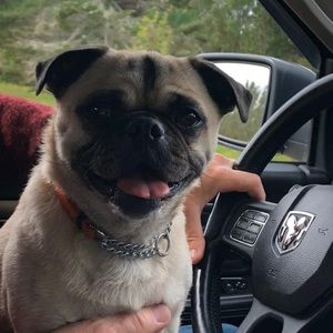 Meet your Posher, Patricia